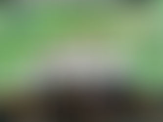 NEUMARKTER FIRMENLAUF 2025