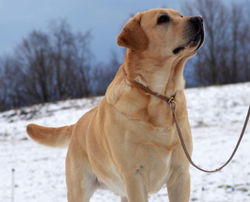 Kiefer Candid #2_edited