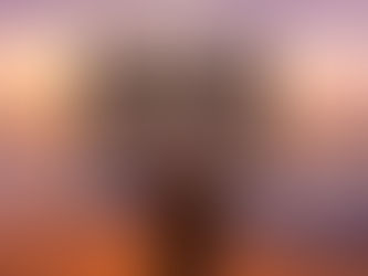 ESTAR ALEGRE E ALEGRAR SE