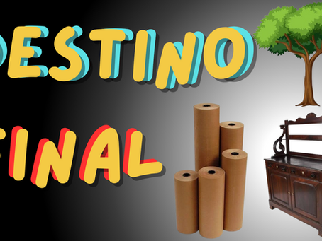 DESTINO FINAL
