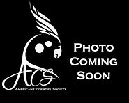 photocomingsoon.jpg