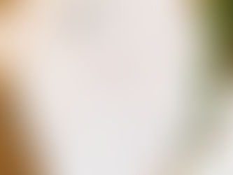 What to Consider When Choosing A Wedding Menu. . .