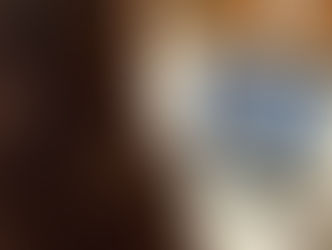 Pràctiques d'auxiliar en administració i gestió