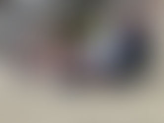 Sortida al Park Güell