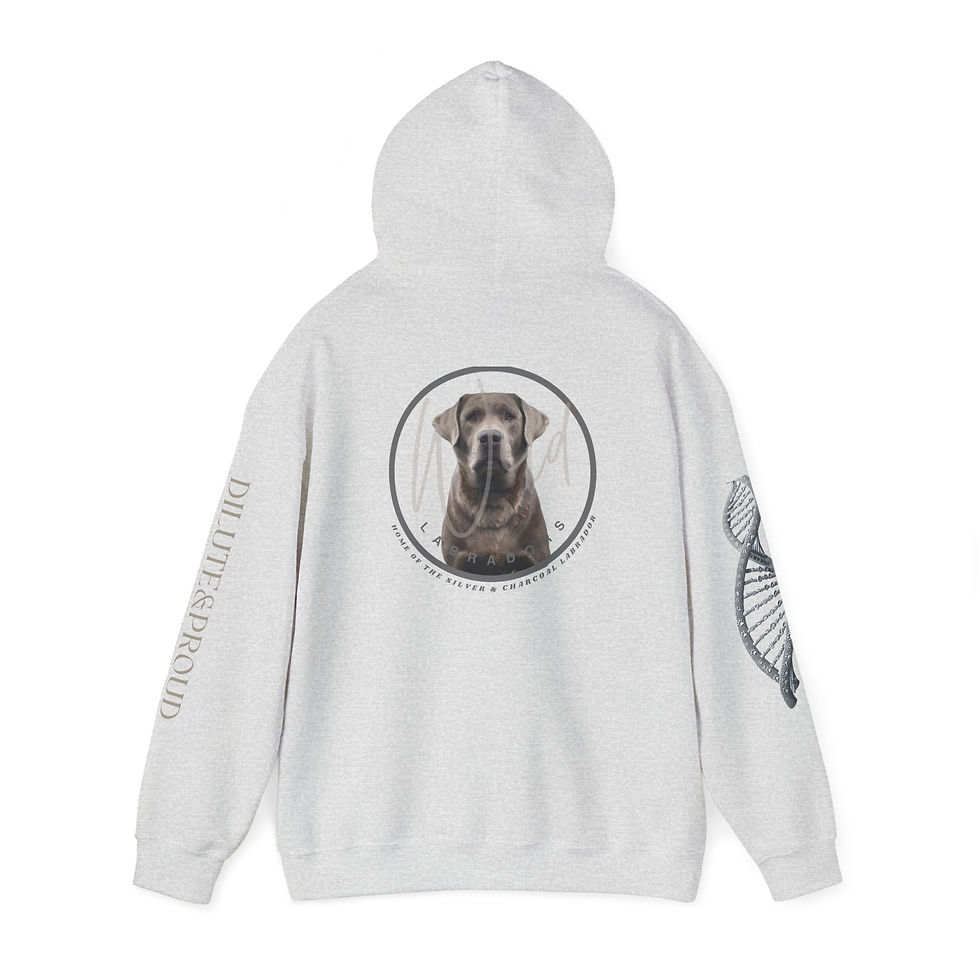 Thumbnail: Unisex Heavy Blend™ Hooded Sweatshirt