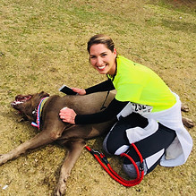 Owner of Wild Labradors finishing a race with her English Silver Lab Tank
