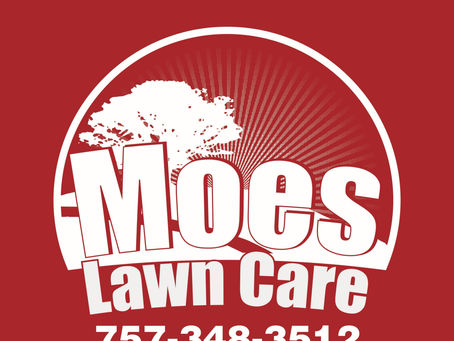 Spring Cleaning Lawn Care .  Norfolk Virginia Chesapeake Virginia,Virginia Beach Virginia