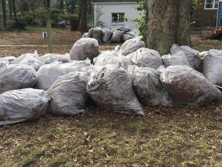 Spring Cleanups