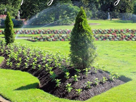 We specialize in the external beautification of your property. Whether you require pressure washing,