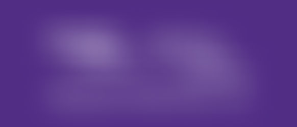 Alzheimer’s Association Hosts “Power of Purple: A Reason to Hope Luncheon”
