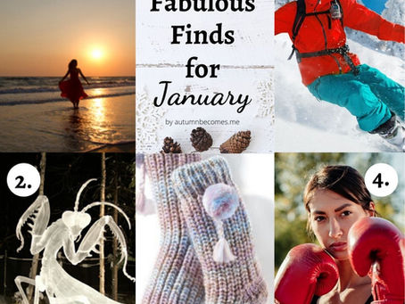 Five Fabulous Finds for January