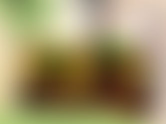 How to Make this Honey and Mayo Chicken Bento!