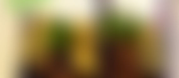 How to Make this Honey and Mayo Chicken Bento!