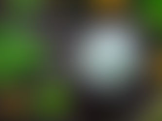 Why Aventurine is the BEST Crystal for March!