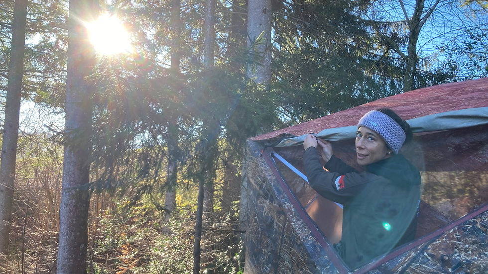 Das Waldzelt steht wieder