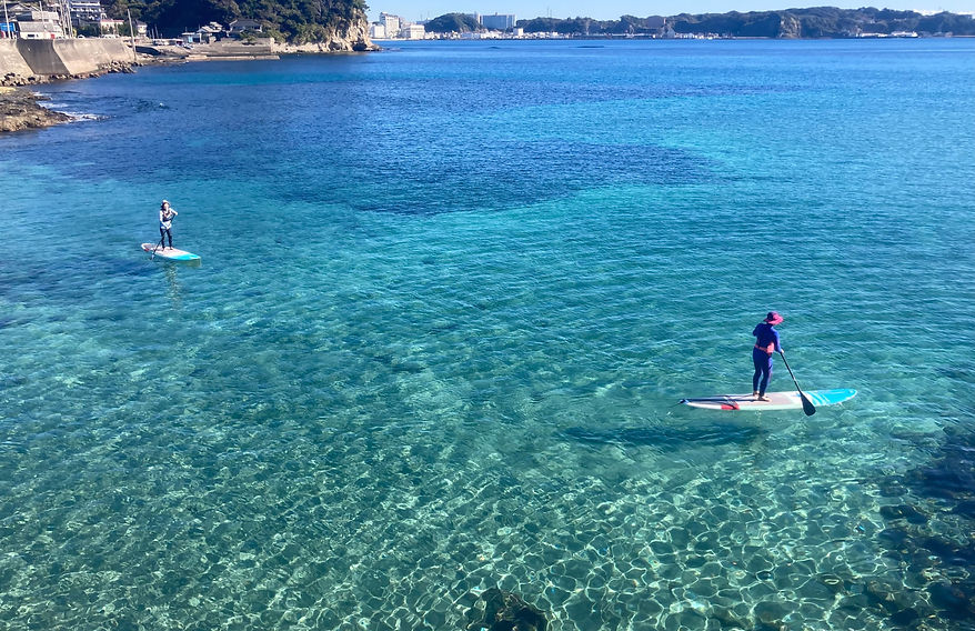 SUP | マリブポイント/MALIBU POINT