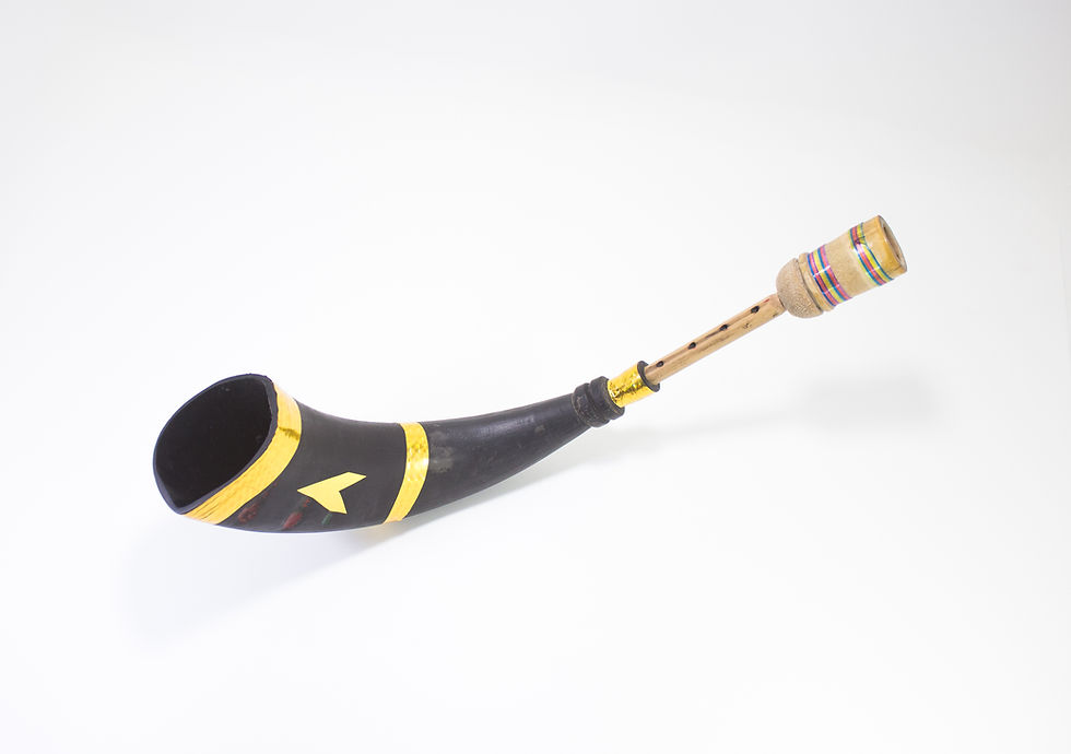 Thumbnail: Pepa (Single Horned) এটিয়া পেঁপা