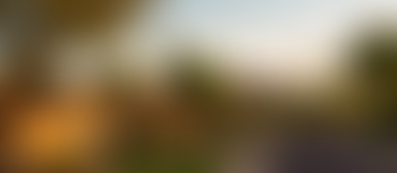 Scottsdale neighborhoods with desert landscape and mountains
