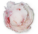 Pomegranate Swirl.png