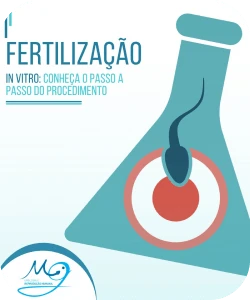fetilização.webp