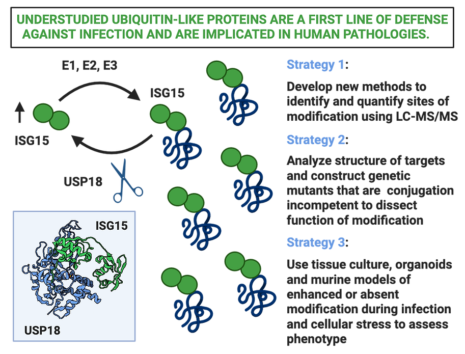 Research Strategy_edited.png