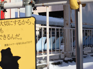 【プレスリリース】苫小牧駅前旧バスターミナル跡地の利用承認のお知らせ｜まちづくり総合型広域スポーツクラブクロス実行委員会