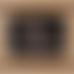 Le cheval, emblème des Soieries Bonnet depuis 1871