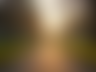 Should You Disclose Your Job Search to Your Current Employer? Effective Strategies for Managing a Challenging Work Situation.