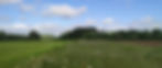 Organic Photo 2_edited.jpg