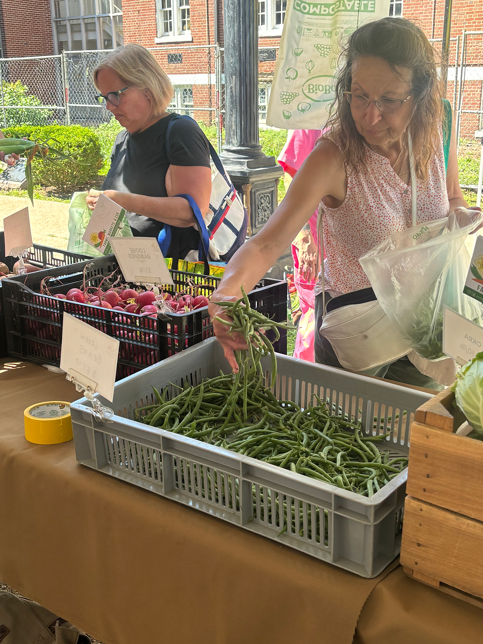 City Green's Farm Stand at Bloomfield Farmers Market