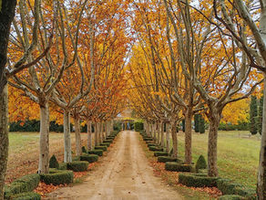 The Quiet Comfort of Autumn - A Case for Slow Interiors