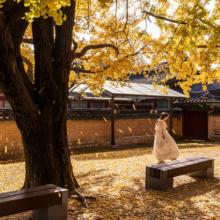 Como os Doramas Ensinam Sobre a Cultura Coreana