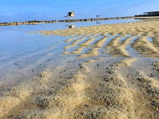 Egipcjanie wpadli w panikę. Morze cofnęło się i nadejdzie tsunami?