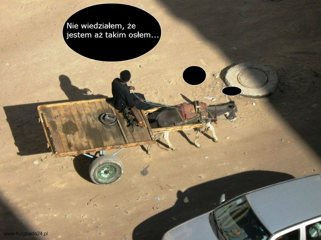 Egipskie memy, czyli coś śmiesznego