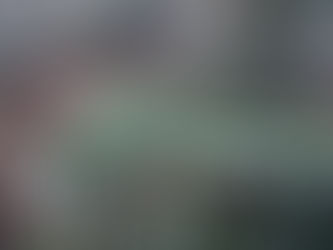 Hivernale avant Noël... Pas chaud là-haut sur la colline🥶