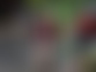 Des costauds au Roc d'Azé.