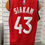 Миниатюра: Баскетбольная майка Торонто Рэпторс №43 SIAKAM