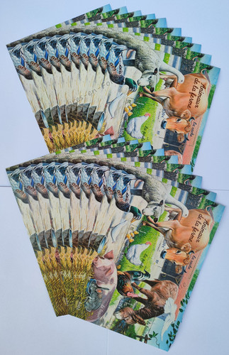 Collection De Timbres Félins - 50 Timbres Différents Oblitérés - Philatélie, Cadeau Pour Amoureux Des Chats
