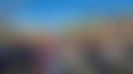 Response to Radical and Wasteful DEI Programs