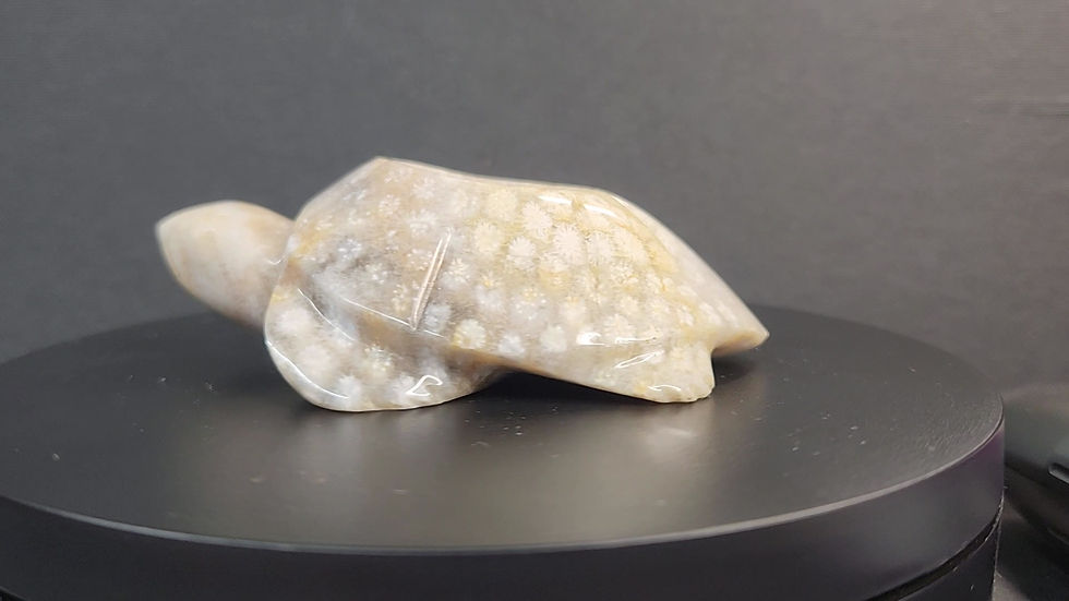 Turtle Carving/Sphere Holder