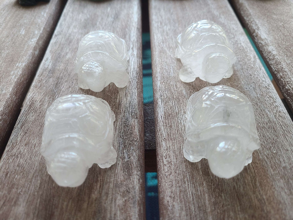 Thumbnail: Quartz Turtles