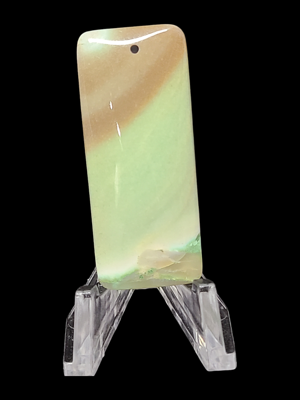 Petrified Wood Cabochon