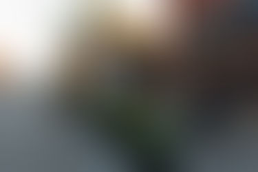 Fort Worth Better Block a Success!