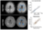 Adapted from Sorby-Adams et al., 2024 - Nature Communications