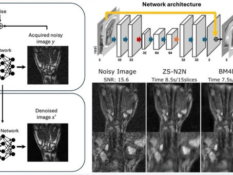 29th Edition | Zero-shot, why not?
