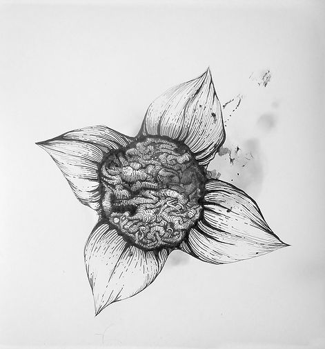 Indian ink and lampblack drawing of flower and viscera. Work by Vincent Mesaros