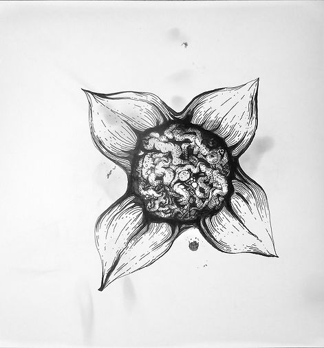 Indian ink and lampblack drawing of flower and viscera. Work by Vincent Mesaros