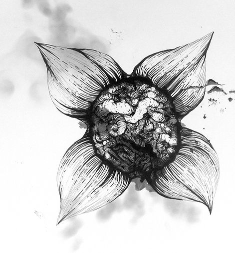Indian ink and lampblack drawing of flower and viscera. Work by Vincent Mesaros