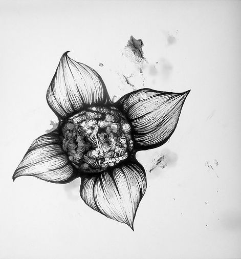 Indian ink and lampblack drawing of flower and viscera. Work by Vincent Mesaros