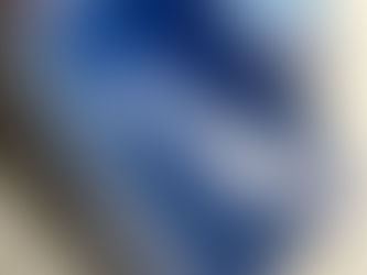 今日の1枚